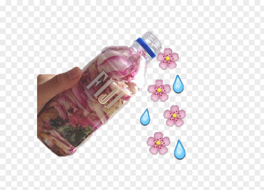 Mirrow Fiji Water Bottled PNG