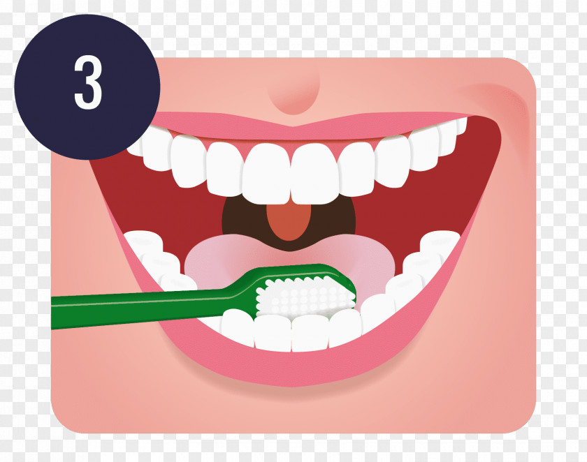 Tooth Brushing Dentistry Oral Hygiene Teeth Cleaning PNG brushing hygiene cleaning, Brush clipart PNG