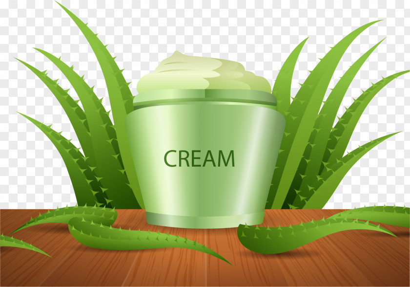 Vector Hand Painted Aloe Vera Cream Agave Skin PNG