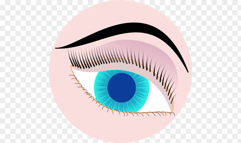 Eye Iris Visualization Clip Art PNG