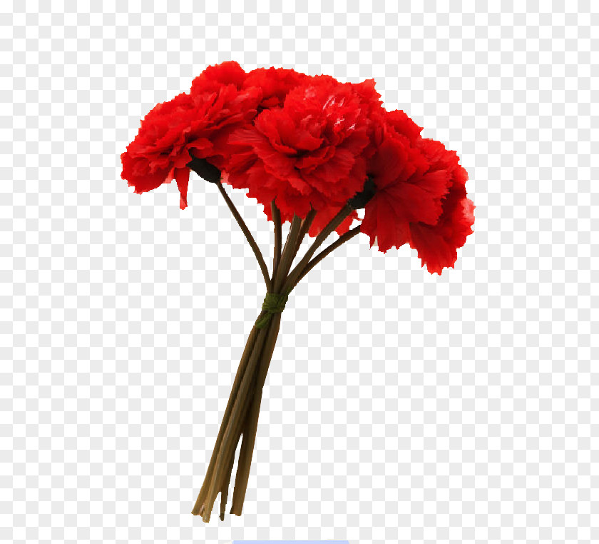 Get Carnation Cut Flowers Floral Design Flower Bouquet PNG