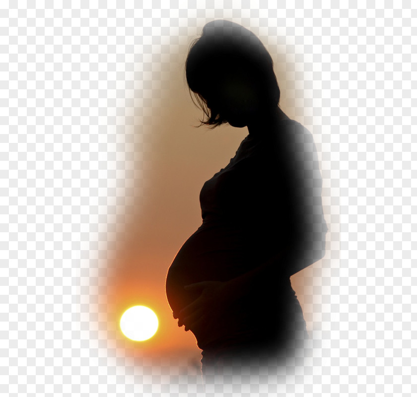 Pregnancy Photography Mother Silhouette PNG