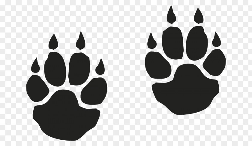 Tiger Paw Cougar Dog Clip Art PNG