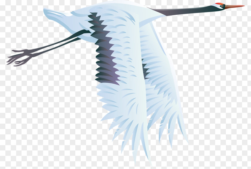 Crane Bird Heron Clip Art PNG