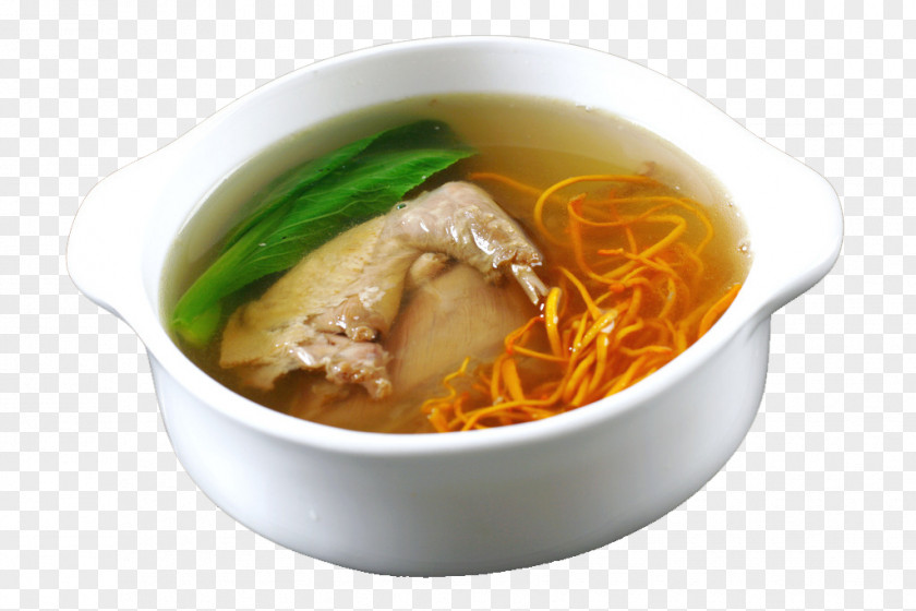 Features Cordyceps Stewed Pigeon Batchoy Chicken Soup Gravy Ragout Caterpillar Fungus PNG