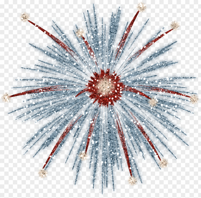 Fireworks Pyrotechnics PNG