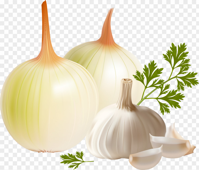 Garlic Tursu Onion Vegetable PNG