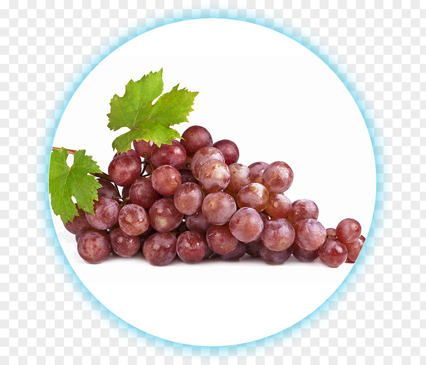 Grape Common Vine Wine Grapes Jabuticaba PNG