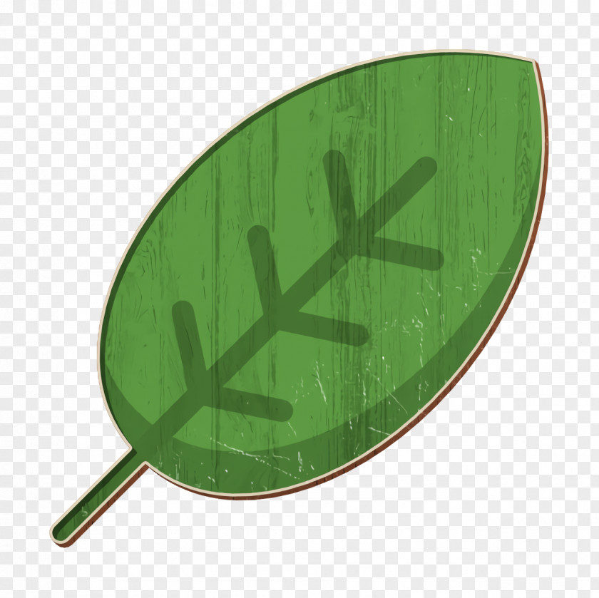 Leaf Icon Green Environment PNG
