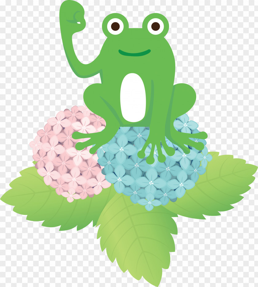 Tree Frog Cartoon Leaf Frogs Toad PNG