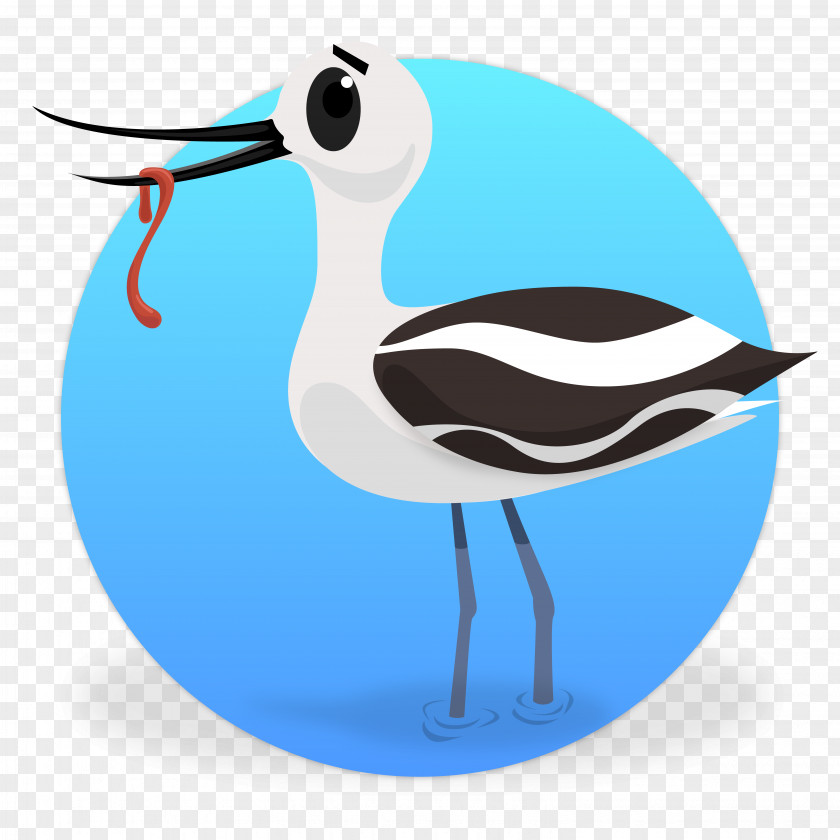 Bird Cygnini Beak Crane Goose PNG