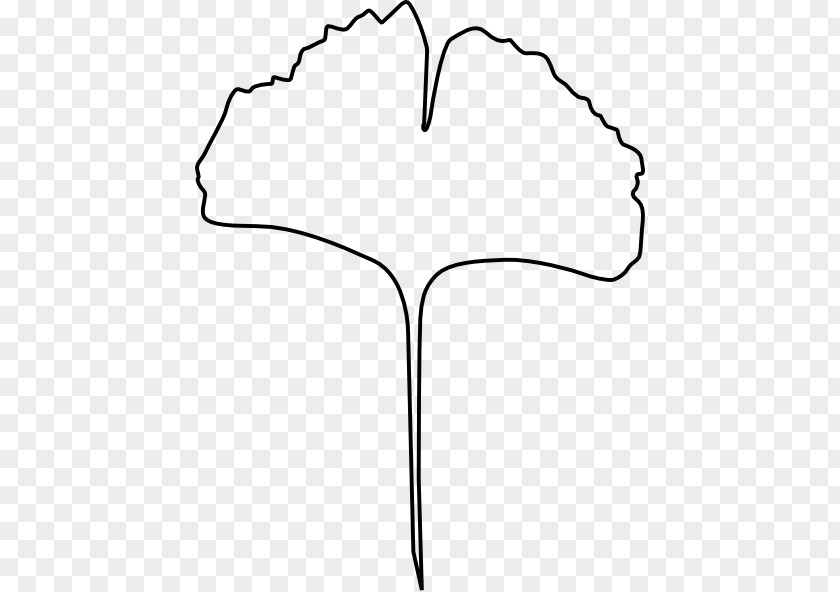 Ginkgo Leaves Biloba Leaf Line Art Clip PNG