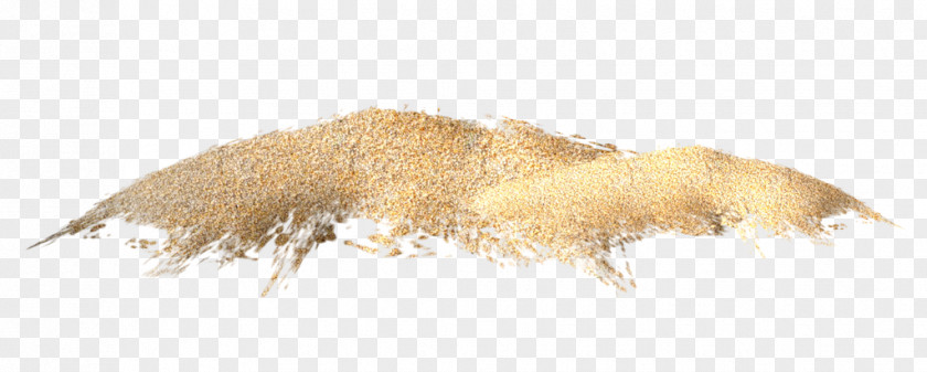 Sand PNG clipart PNG