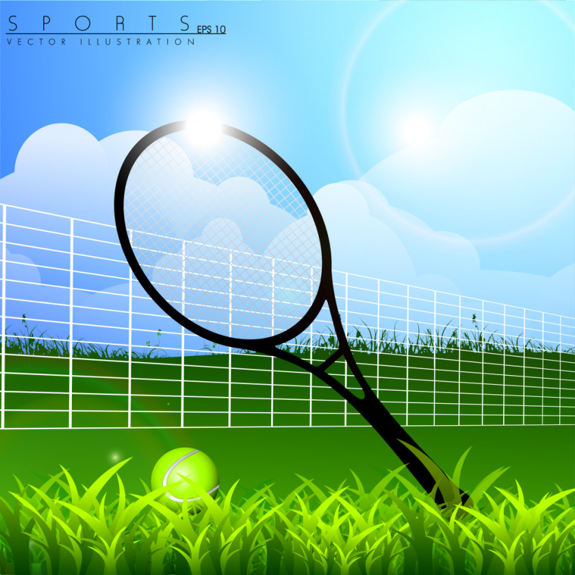 Tennis Ball Strings Grass Court Sport PNG