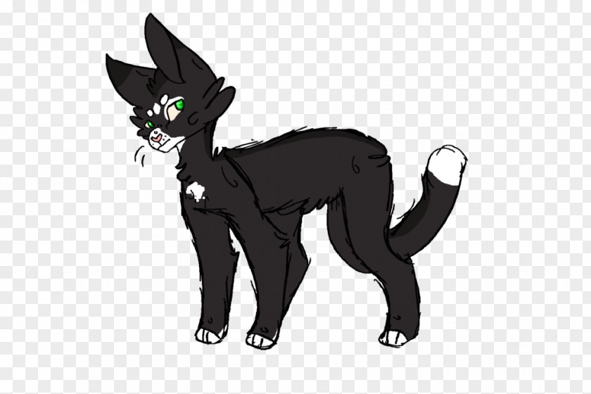 Cat Whiskers Domestic Short-haired Black Dog PNG