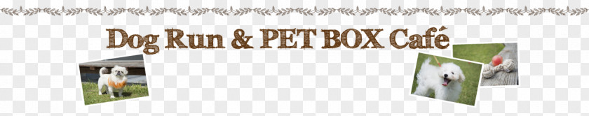 Dog Run Product Design Paper Brand Font PNG
