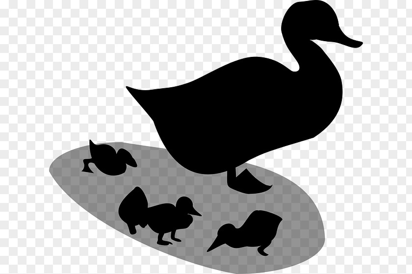 Duck Goose Clip Art Fauna Silhouette PNG