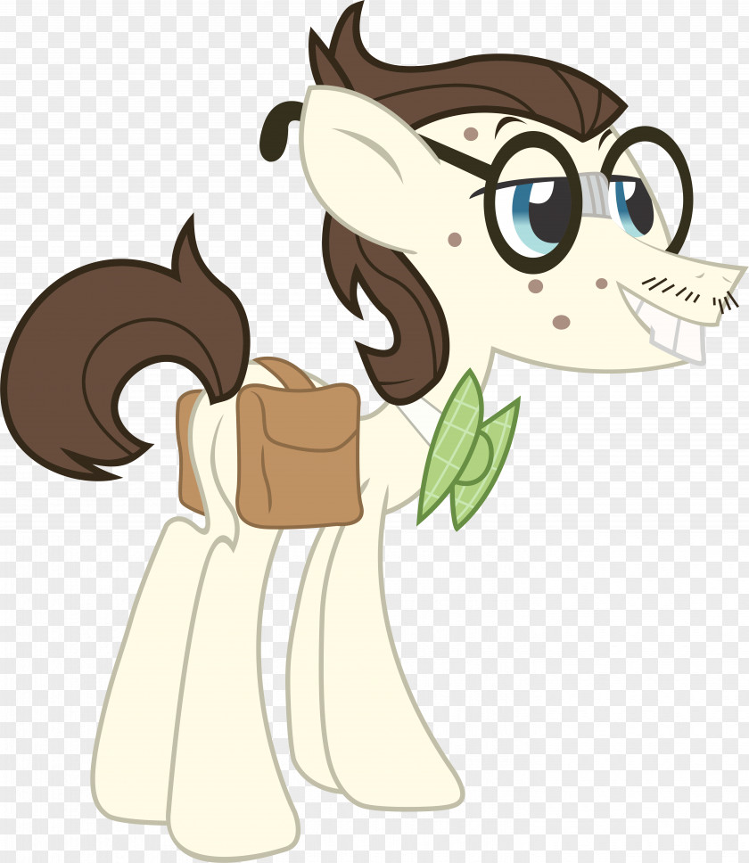 Horse My Little Pony Rarity Nerd PNG