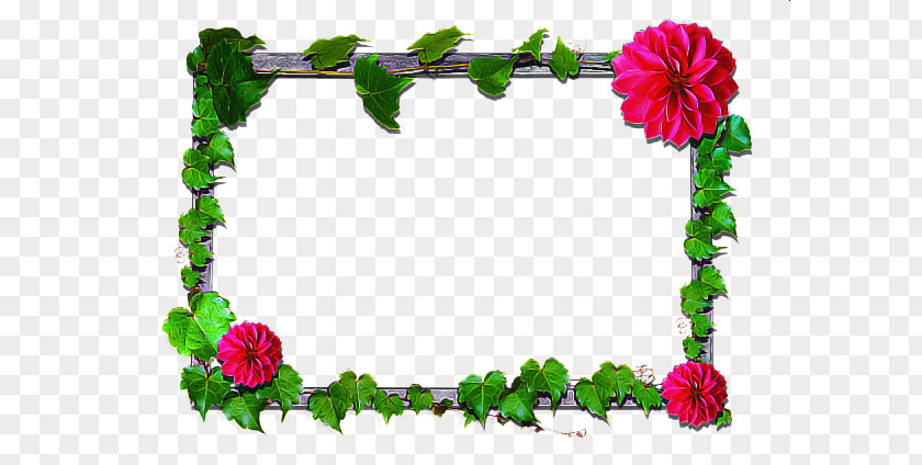 Lei Plant Picture Frame PNG