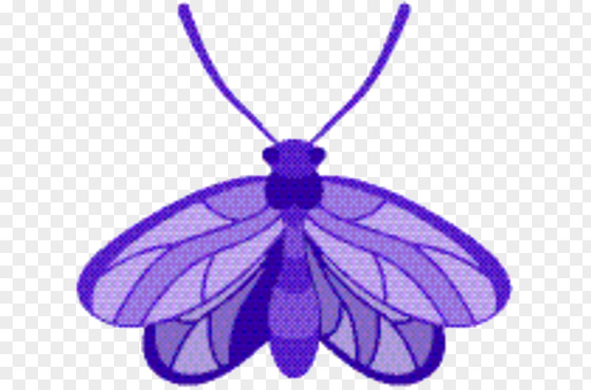 Pest Symmetry Butterfly PNG