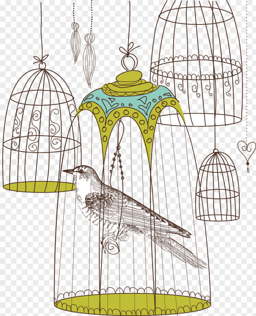 Bird Cadge Cage Photography PNG