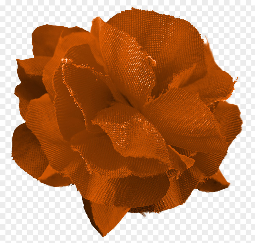 Cbf Cut Flowers Petal PNG