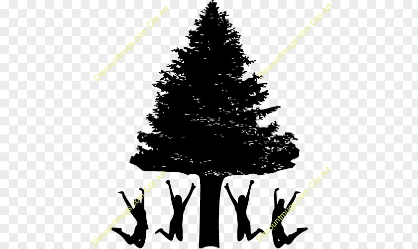Christmas Tree Spruce Fir Ornament Day PNG