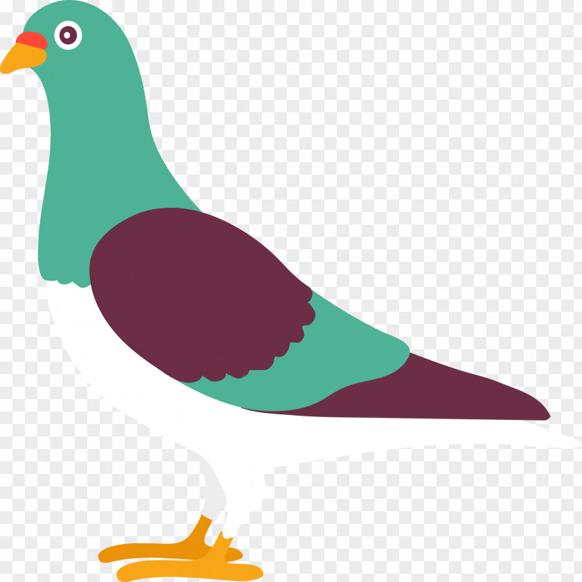 Columbine Pigeons And Doves Rock Dove Bird Homing Pigeon Vector Graphics PNG