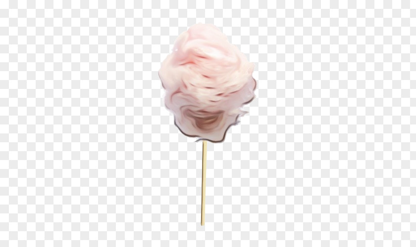 Cotton Candy Machine Rose Family Cut Flowers PNG