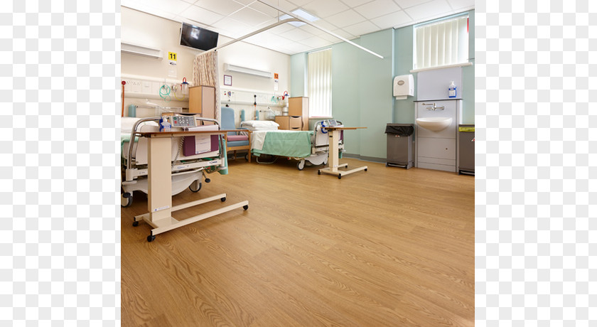 Croydon University Hospital Floor Prince Philip Dental PNG