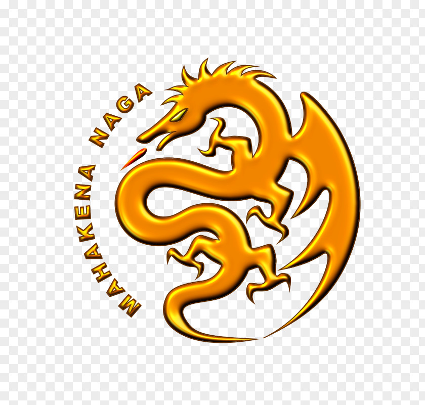 Dragon Logo Logos Symbol PNG