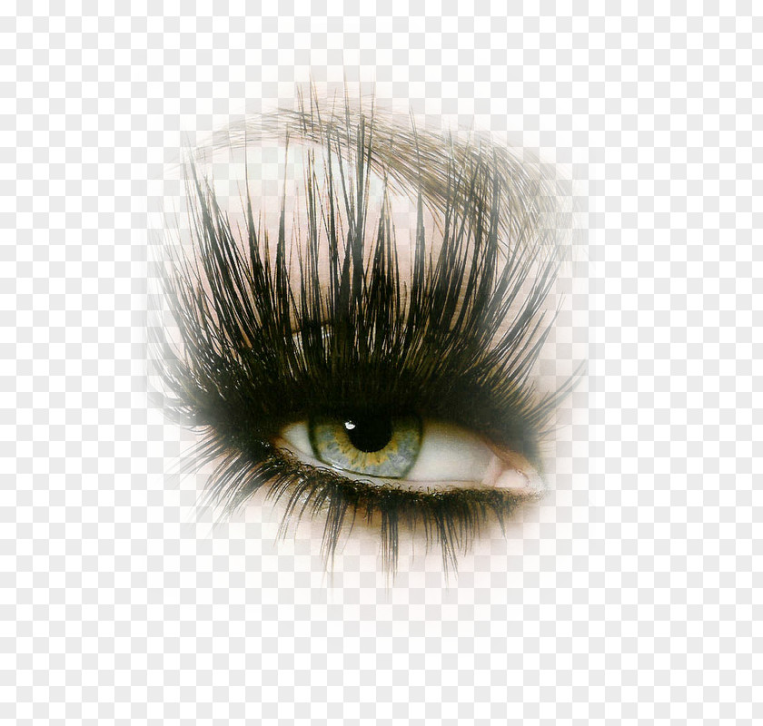 Eyelash Extensions Cosmetics Photography PNG
