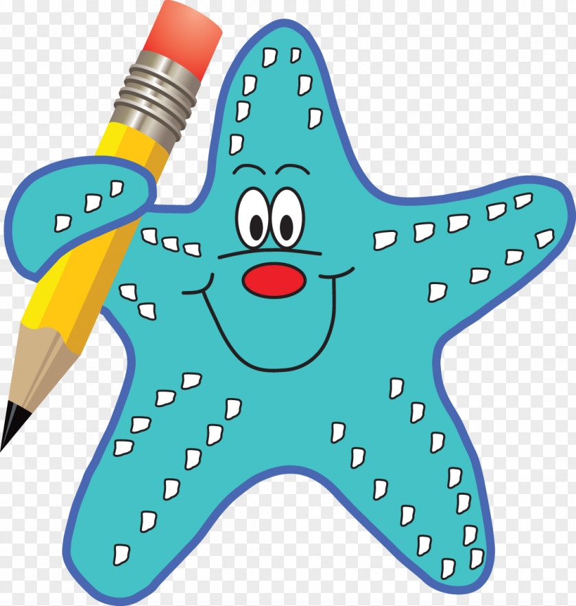 Nature Sea Animals Star Starfish College Road Early Childhood Center School Clip Art PNG
