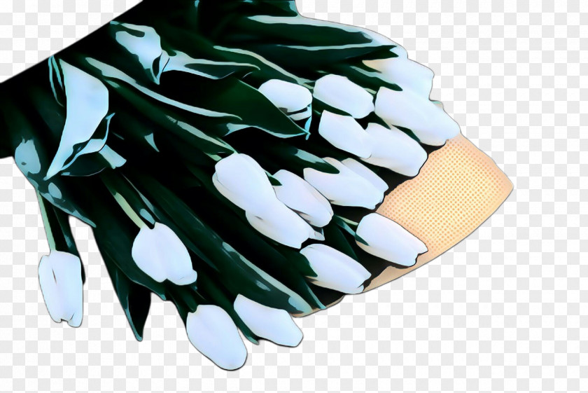 Batting Glove Plant Flowers Background PNG