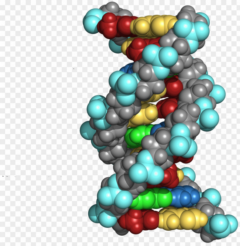 DNA The Double Helix: A Personal Account Of Discovery Structure Molecular Biology Book Writing PNG