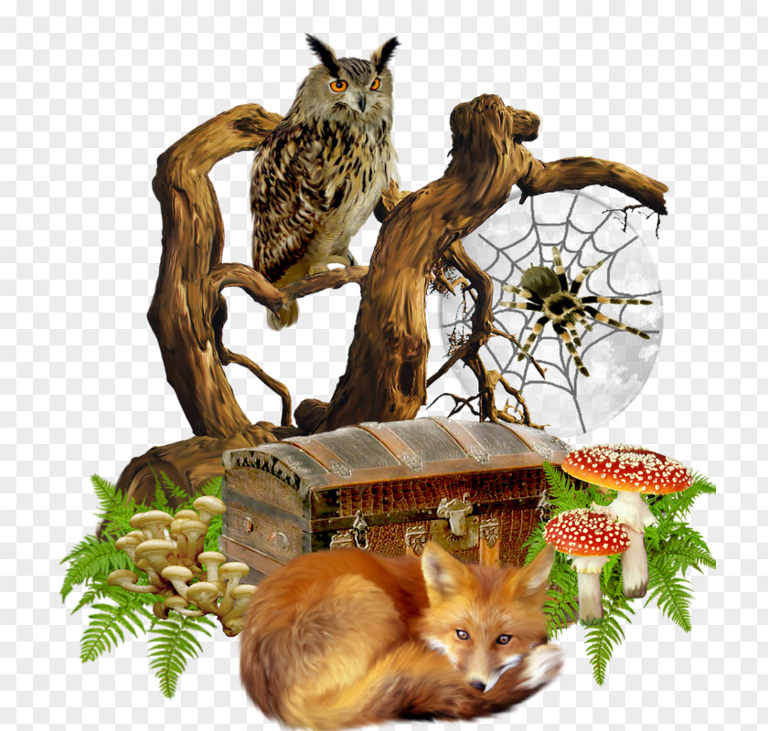 Forest Animals Chipmunk Desktop Wallpaper Animal Red Fox PNG