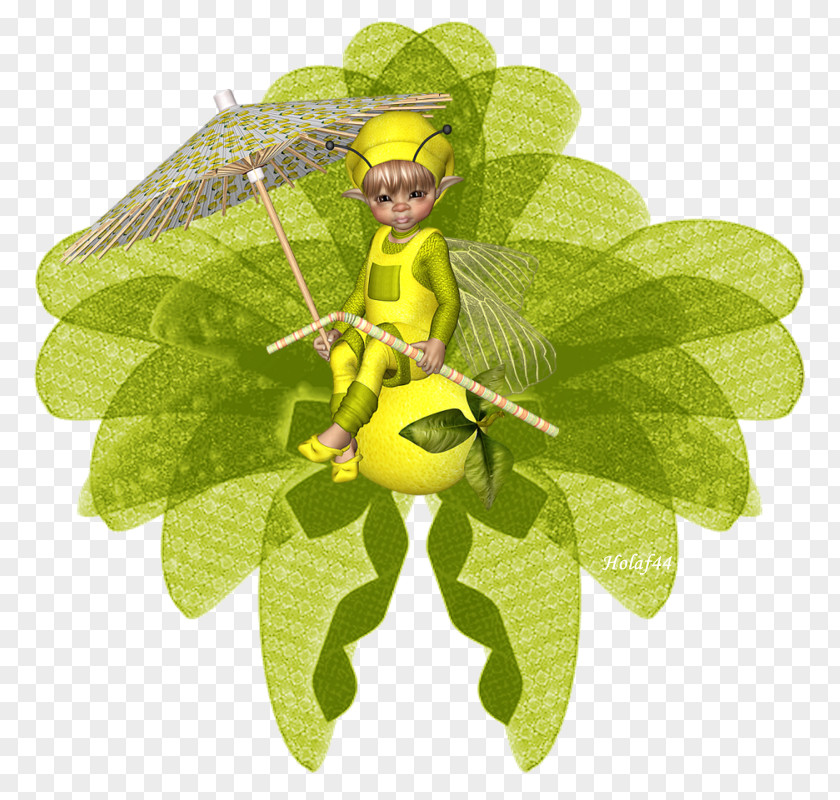 Insect Tree Leaf Fruit PNG