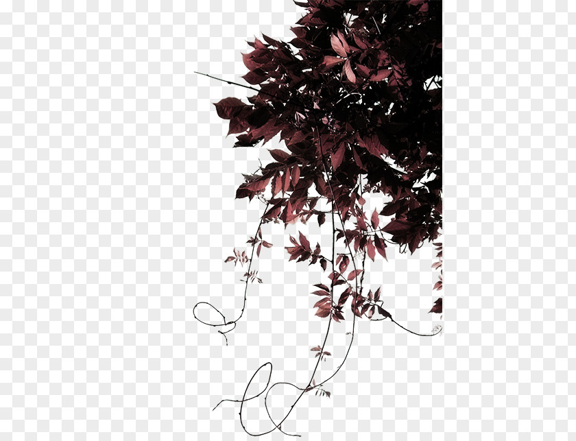 Leaf Sculpture Ornamental Plant Clip Art PNG