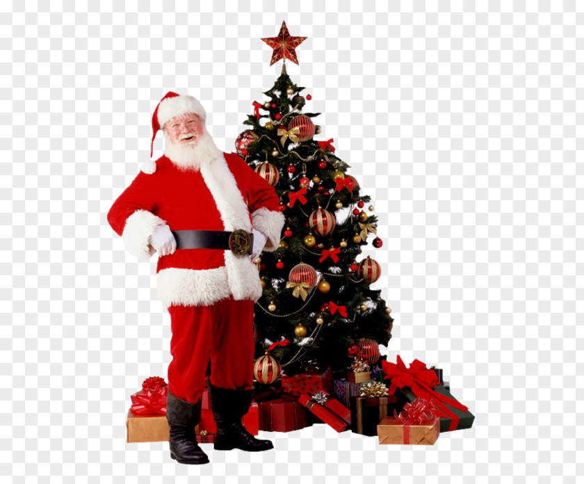 Santa Claus Christmas Tree New Year And Holiday Season PNG