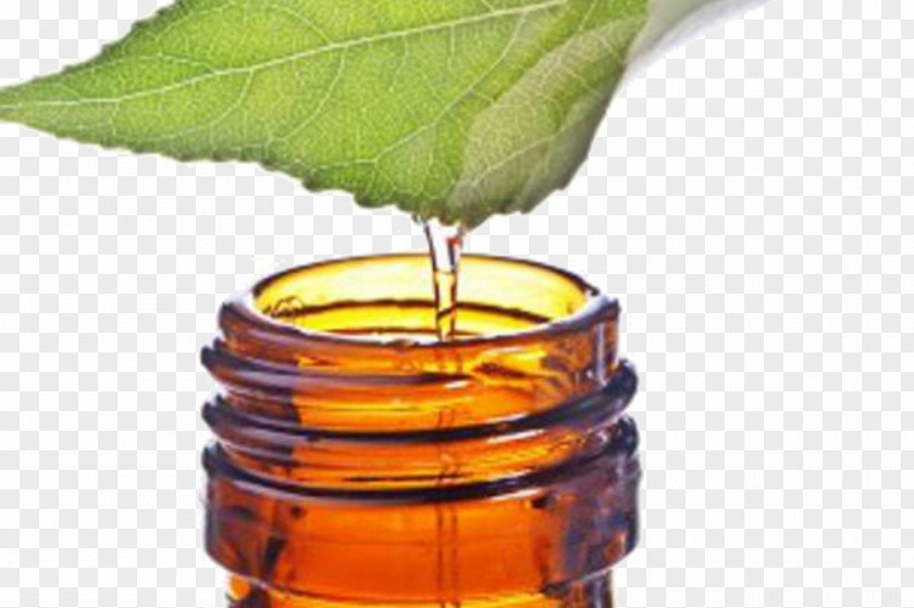 Tea Tree Oil Narrow-leaved Paperbark Essential PNG