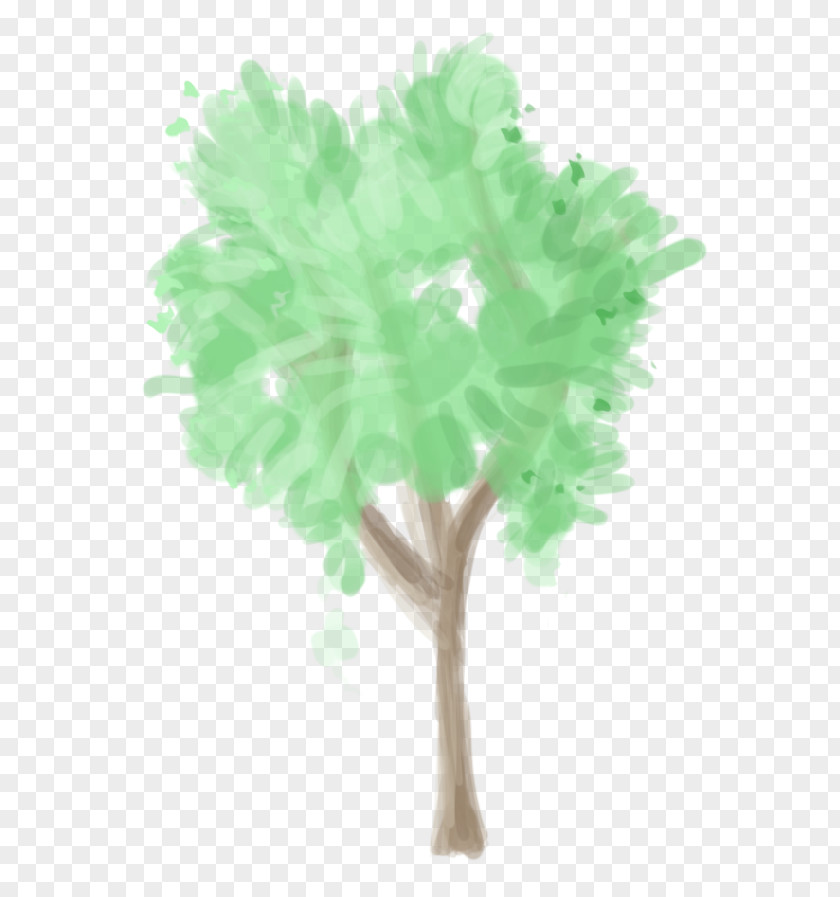 Tree Leaf Plant Stem PNG
