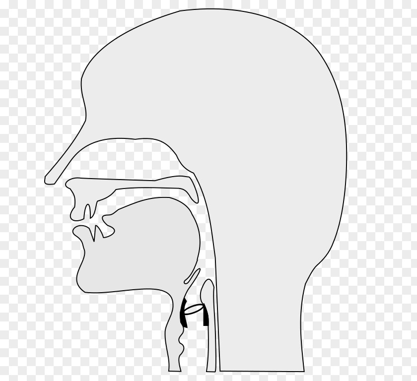 Vocal Head And Neck Cancer Homo Sapiens Arm Human Body PNG