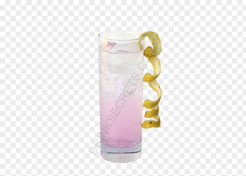 Club Soda Highball Glass Mug Pint PNG
