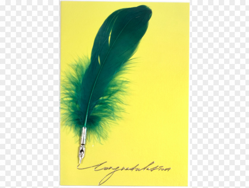 Congratulate The Card Paper Feather Pen Stationery PNG