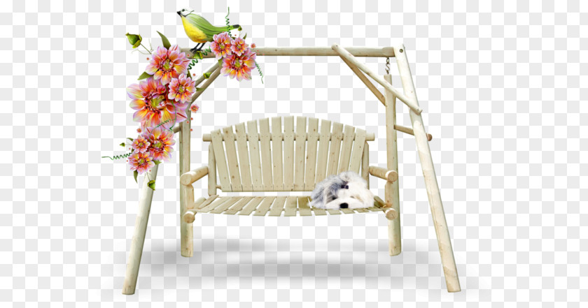 Design Image Chair Bench PNG