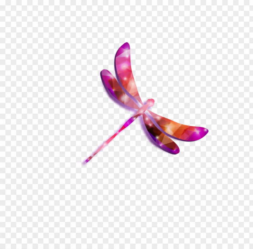 Dragonfly Insect Butterfly Pollinator Lilac Violet PNG
