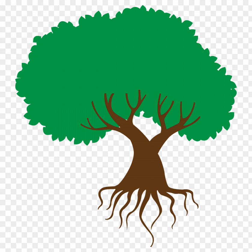 Logo Plant Green Tree Root Clip Art PNG