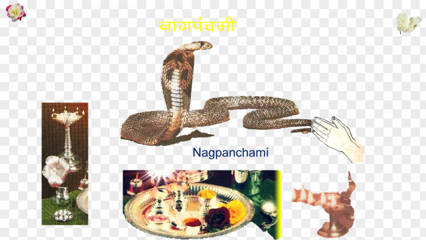 Naga Panchami Shraavana Month Paksha PNG