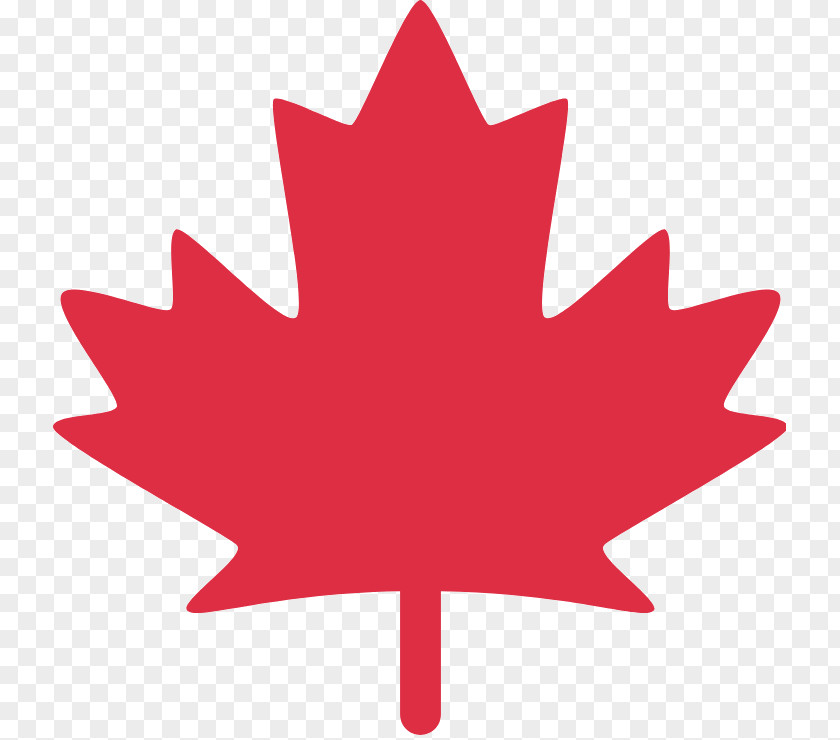 Plane Plant Canada Maple Leaf PNG