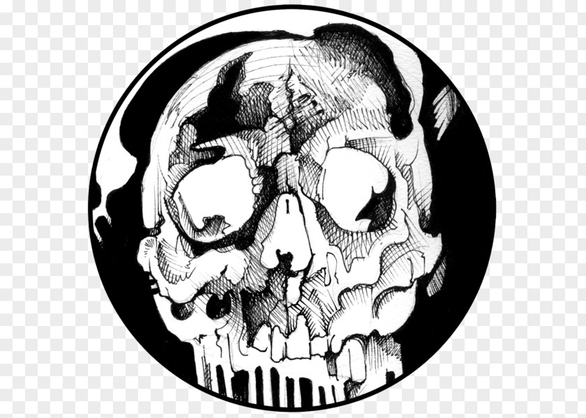 Skull Drawing /m/02csf White Font PNG